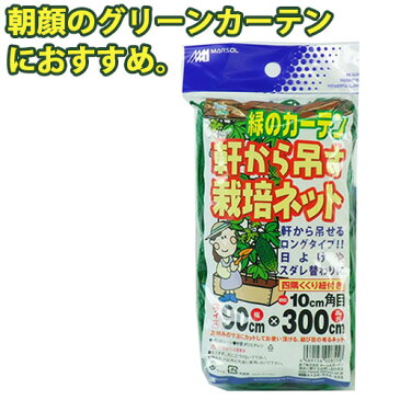 つるもの誘引 軒から吊す栽培ネット 幅90cm×300cm 10cm角目 グリーン 四隅取付ロープ付 ガーデニング 家庭菜園 園芸 網 朝顔 アサガオ 野菜 グリーンカーテン 日よけ 金TD