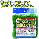 つるもの誘引 軒から吊す栽培ネット 幅360cm×300cm 10cm角目 グリーン 四隅取付ロープ付 ガーデニング 家庭菜園 園芸 網 朝顔 アサガオ 野菜 ...