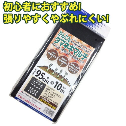 初心者におすすめ かんたんタマネギマルチ 幅95cm×長さ10m 4列穴あき 黒 0.03mm厚 農業 家庭菜園 農作業 畑 園芸 野菜 栽培 植え付け 雑草防止 マルチング マルチシート 防草 ガーデニング 植物 金TD