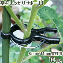 くき止めクリップ 8mm〜11mm支柱用 10個入 支柱 茎 固定 家庭菜園 便利 園芸 農業 農作業 誘引 野菜 トマト キュウリ 幼苗 ガーデニング 金TD