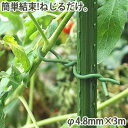 やわらかバンド φ4.8mm×3m 家庭菜園 園芸 ガーデニング 農業 農作業 枝 つる バラ 誘引 結束 支柱 野菜 簡単 かんたん 金TD