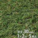 リアル 人工芝 つや消し 5枚入 芝丈30mm 1m×2m シンセイ 芝生マット 家 庭 ベランダ テラス バルコニー ガーデニング ガーデン 雑草 対策 ドッ...