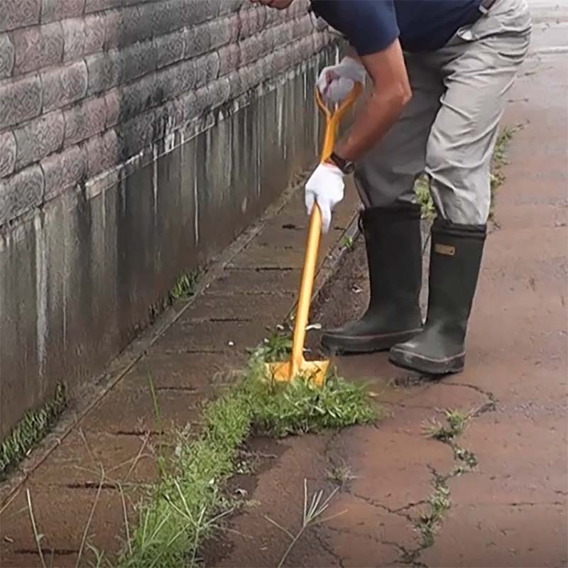 ���𥷥�٥� �� 25370 ����٥� ����٥� ���� �����ڹ��� H