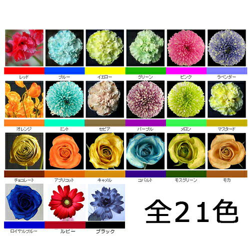 �ѥ쥹���� �ڲ��忧�ޥե��󥿥��� 1L �ԥ� �� ���� �ǥ����ץ쥤 �ǥ��졼����� �ե������ ��ʪ ���� ������ ��� �����ǥ˥� ��ͳ���� �¸� �ץꥶ���֥� ���� DIY ����ƥꥢ �ϡ��Хꥦ�� ����� �ѥ쥹�� Z