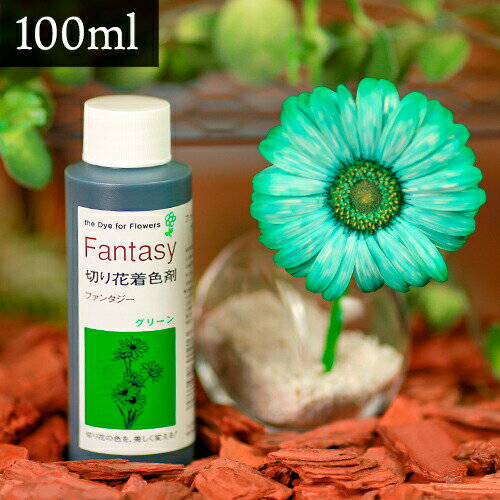パレス化学 切花着色剤ファンタジー 100ml グリーン 切り花 着色 レインボー フラワー アレンジ 切り花着色剤 植物 染色 染色液 園芸 観葉植物 ガーデニング プリザーブド ドライフラワー 押し花 手作り DIY ワークショップ ハーバリウム 染める 自由研究 実験 パレス化 Z