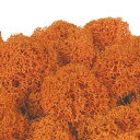ノルディックモス 50g 165-51820-82 FL820−820 オレンジ 花材 手芸 リース 土台 ベース アレンジ 材料 苔 松K直送
