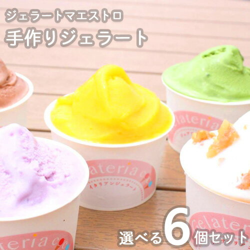 ジェラート マエストロがいる専門店 選べるジェラート 6個セット Gelateria COCO ジェラテリアココ アイス クリーム イタリア イタリアン ご当地スイーツ 燕三条 ドルチェ シャーベット プレゼント ギフト 母の日