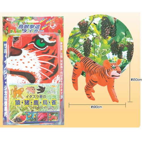 Ļ �� �к� ���å� Ļ�÷��ॿ������ 6���� K-002 �� Ļ�褱 ��Ļ ��Ļ �ɽ� ưʪ �� Ȫ ����� ���� �� ���� ζ����