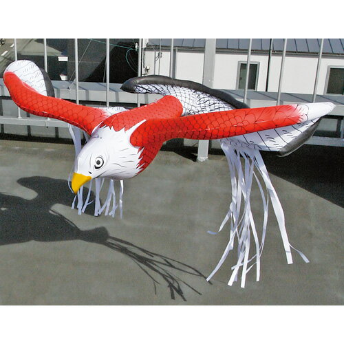 Ļ �� �к� ���å� Ļ�ɤ� ˽���˷���� 6���� K-901 �� Ļ�褱 ��Ļ ��Ļ �ɽ� ưʪ �� Ȫ ����� ���� ���� ζ����