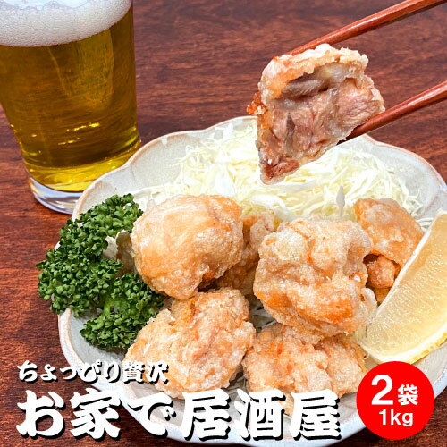 ちょっぴり贅沢 お家で居酒屋 とり唐揚げ 2袋 1000g 燕三条 酒場 カンテツ からあげ から揚げ 冷凍 簡単調理 味付き 衣付き プロの味 家飲み つまみ 宅飲み 巣ごもり 酒の肴 お取り寄せグルメ お父さん プレゼント 誕生日 ギフト 1