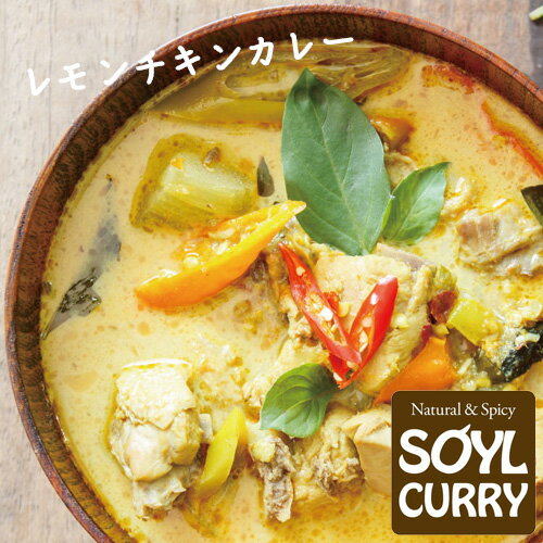 レモンチキンカレー 180g SOYLcafe ソイルカフェ 燕三条 三条市 鶏 鶏肉 産直 産地直送 お土産 観光地応援 ギフト 贈り物 内祝い お取り寄せ むじん商店のサムネイル