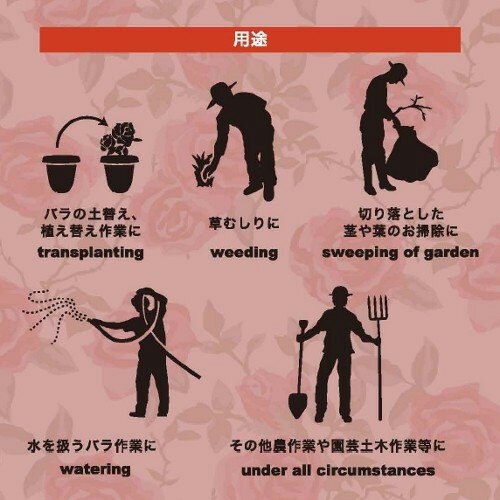 �Х� �ȥ� ���� 10���� ��������С� GM-8 ���ȥ� g-style ATOM ���� ��ǥ����� �����ǥ󥰥����� �����ǥ˥� ��� �Ĥ�Х� ������� ͮ�� �� ����D