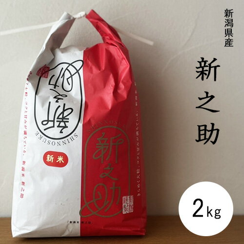 令和5年産 新之助 米 2kg きらめく大粒、コクと甘みが満ちている新潟米 亜倶璃さんじょう 新潟県産 新潟 白米 精米 お米 三条市 産直 産地直送 お土産 観光地応援 ギフト プレゼントのサムネイル