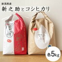 令和5年産 コシヒカリ 5kgと 新之助 5kg お米の食べ比べ お試しセット 亜倶璃さんじょう 新潟県産 新潟 白米 精米 お米 三条市 産直 産地直送 こしひかり お土産 観光地応援 ギフト プレゼント