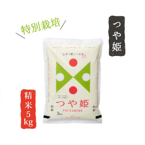 令和4年産 山形県産 米