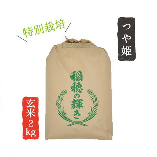 令和4年産 山形県産 米