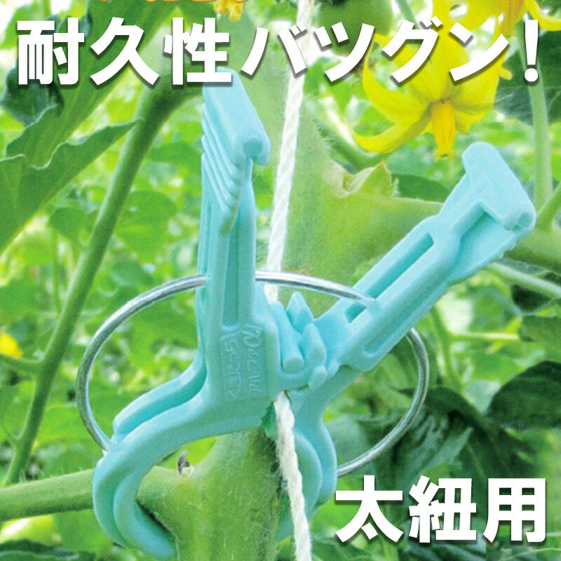 200個 くきたっちアルファF 太紐用 ライトブルー 水色 AF-BL200 誘引 クリップ 誘引クリップ 誘引資材 ..