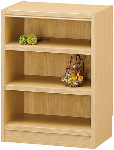 フリーラック タナリオ TNL-6044 NA