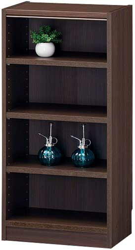 フリーラック タナリオ TNL-9044 DK