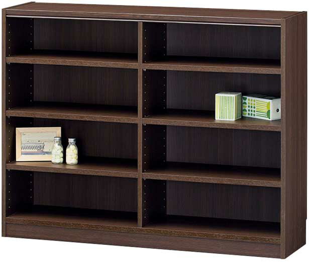 フリーラック タナリオ TNL-90117 DK