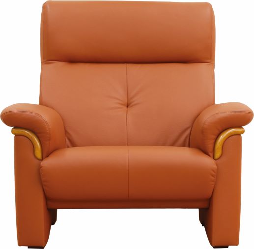 Rakuten - 1人掛けソファ　2000　A2000アクアクリーン