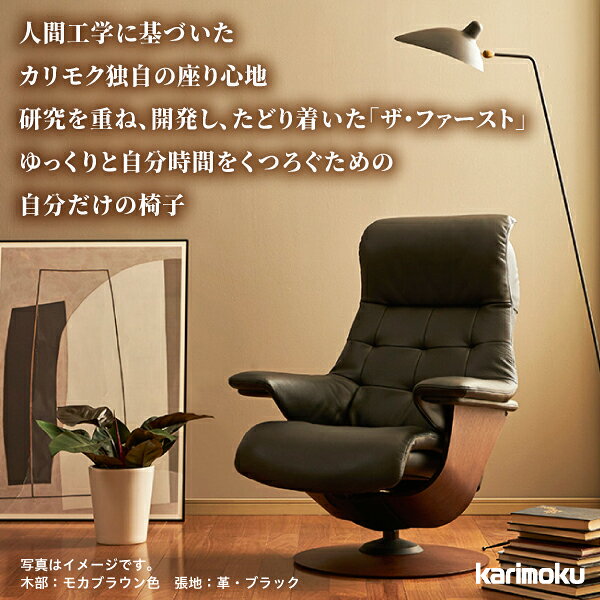 リクライナー ザ ファースト【Mサイズ】 S-RU7200(リーベル) [2]