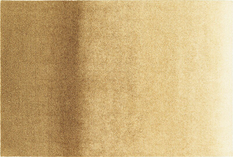 スペースカーペット　ジェミニ(3.0)