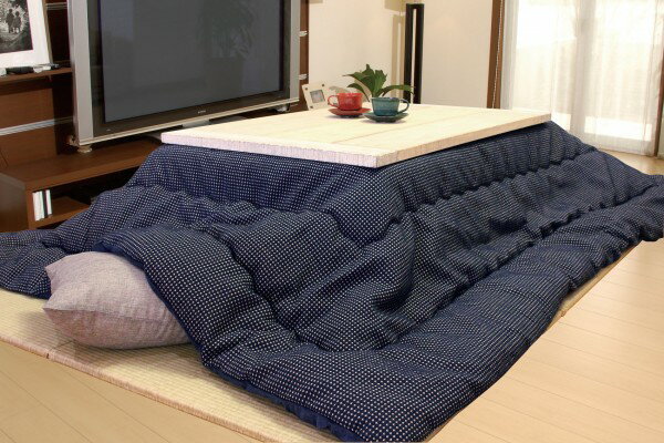 【6/4〜ポイント10倍】こたつ薄掛布団　TWワッフル
