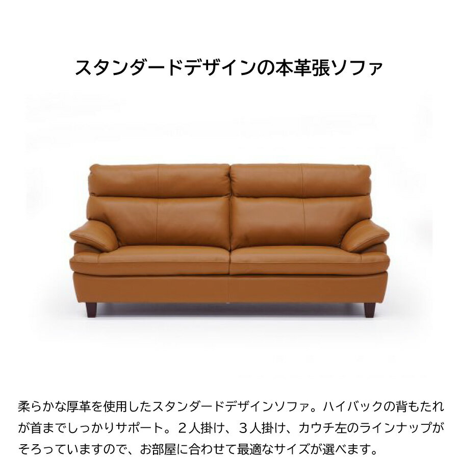 3Pソファ エイジャス ソファ レイコージャパ...の紹介画像2