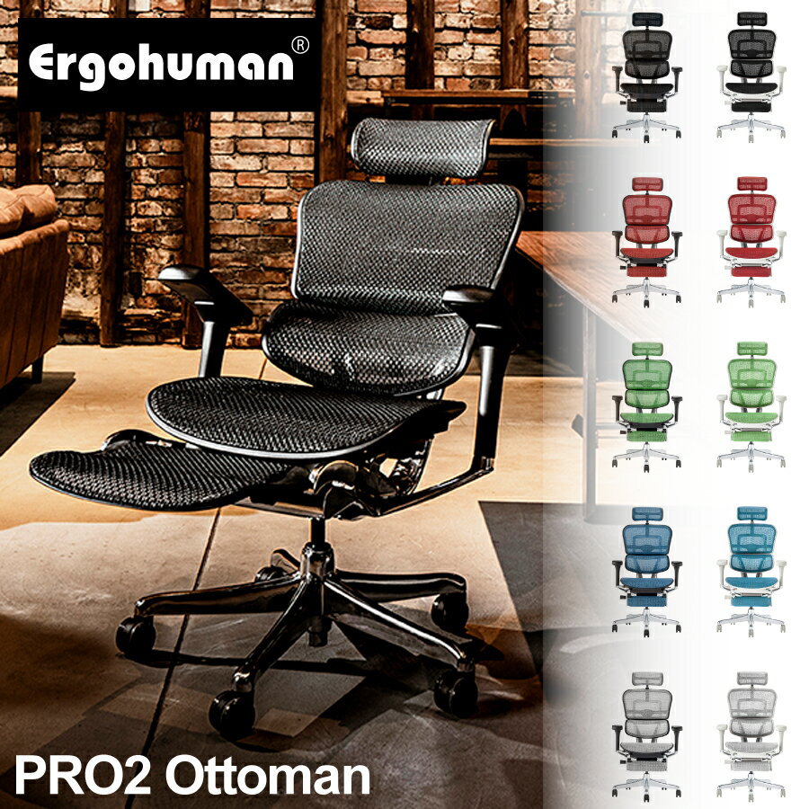 プロ2 EHP2-LPL オフィスチェア Ergohuman エルゴヒューマン 関家具 ランバーサポート メッシュ ハイタイプ 肘付き アームレスト リクライニング 正規品 ヘッドレスト オットマン 疲れない 腰痛対策 高級 フルメッシュ