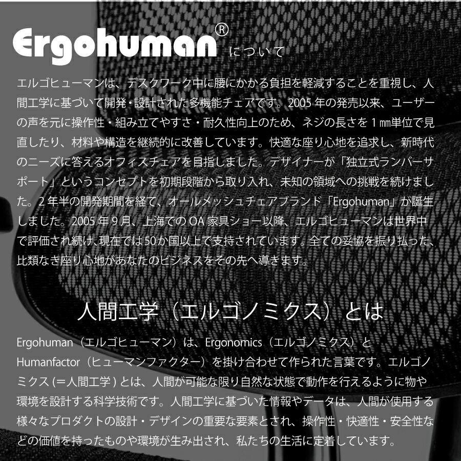 エンジョイ2 EJ2-HAM オフィスチェア Ergohuman エルゴヒューマン 関家具 ランバー...