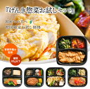 【初回特別価格・お一人様1回】『げんき惣菜お試しセット』 管理栄養士監修 糖質 30g以下 冷凍弁当 おかずのみ 冷凍おかずセット 手作り 和食 洋食 中華 おためし 冷凍おかず 温めるだけ ヘルシー 低糖質 レンジ お中元 夏ギフト