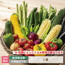 【10種以上保証】新鮮お野菜詰め合