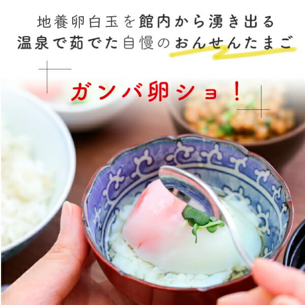 【福島県】温泉たまご ガンバ卵ショ 1箱（10入り）×2箱*　送料無料　地養卵白玉　半熟　熟成　タンパク質　介護食　土湯温泉　お土産　ギフト (クール便) 2