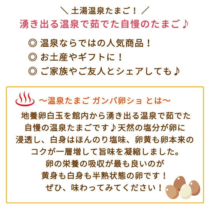 【福島県】温泉たまご ガンバ卵ショ 1箱（10入り）×2箱*　送料無料　地養卵白玉　半熟　熟成　タンパク質　介護食　土湯温泉　お土産　ギフト (クール便) 3