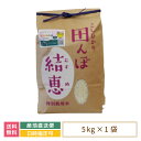 【令和5年産】【おいしいお米コンクール受賞米あだたらドリームアグリ(株)】 コシヒカリ5kg *　福島県産　大玉村　新米　送料無料