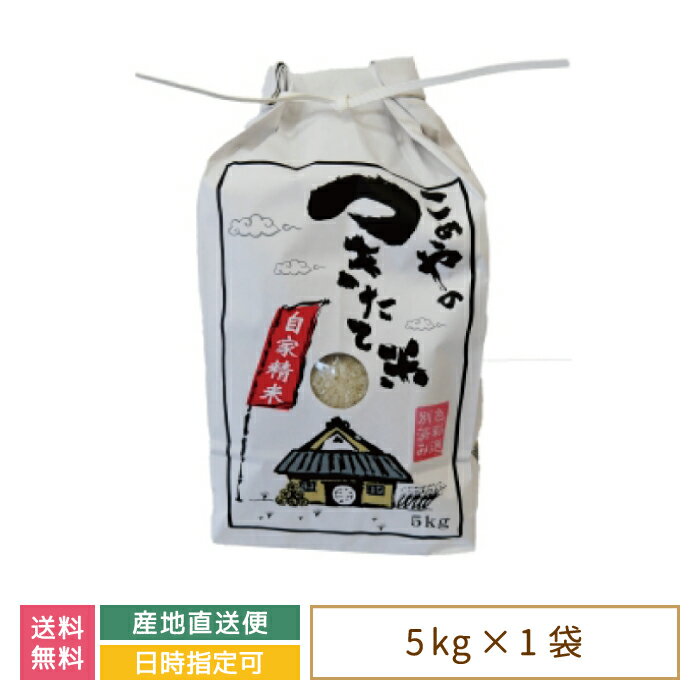 【令和5年産】【今井のつきたて米】 コシヒカリ5kg *　福島県産　大玉村　新米　送料無料　鉄腕DASH