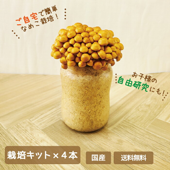 【4個セット】なめこ栽培キット×4本　福島県産　家庭栽培・自由研究　お得 (クール便)