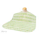(3枚セット)ソフラピレンエプロン ボーダーチェック/グリーン(竹虎)102231