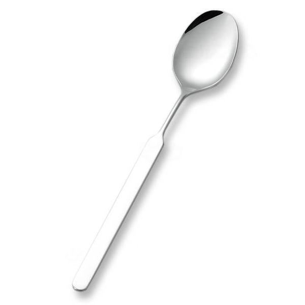 オールステンレスハンドル／スプーン単体（小）N-4（斉藤工業）