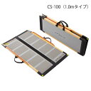 ケアスロープ 長さ100cm/CS-100(ケアメディックス)最大適用段差24cm 狭い間口に対応