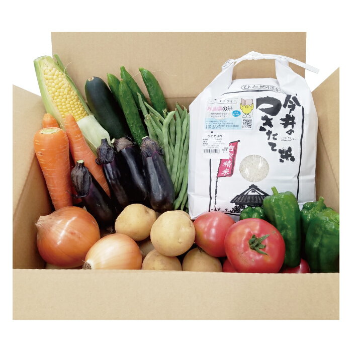 新鮮野菜 新嘗祭 献穀献納者 今井農園新米 ひとめぼれ3kg 詰め合わせセット 福島 大玉村*