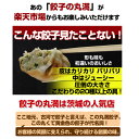 【送料無料】 満足保証！茨城の名店「餃子の丸満」のお試しセット(焼餃子・水餃子・ほんとん)(3種/19個入り)【冷凍】 惣菜 おつまみ お取り寄せグルメ【楽ギフ_のし】【楽ギフ_のし宛書】 3