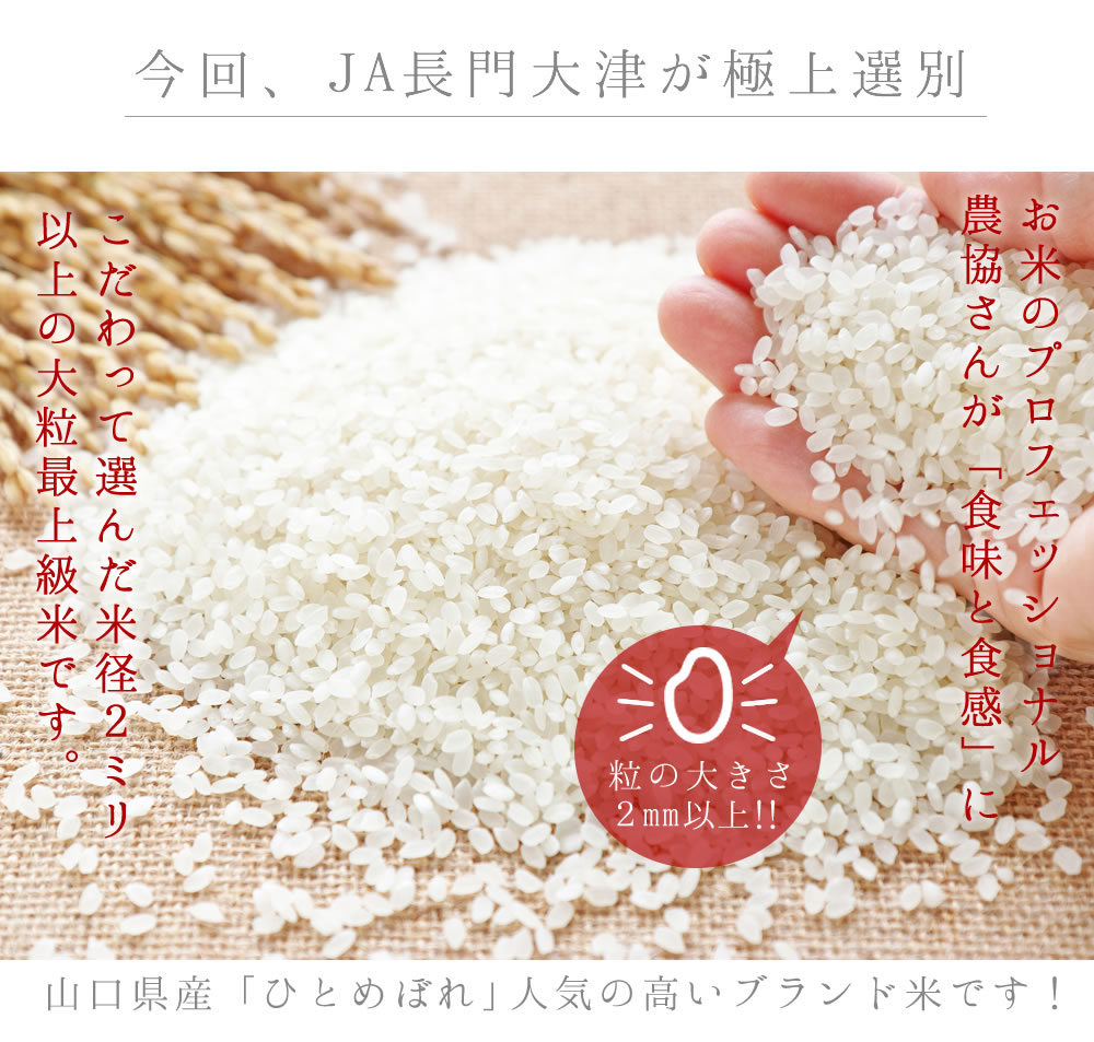 新米お米お試し送料無料ひとめぼれ粒美人2.0ポイント消化選べる白米玄米3kg米コメ