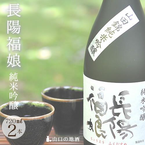 山口 お酒 岩崎酒造 長陽福娘 山田錦純米吟醸720ml2本 送料無料 日本酒 地酒 純米吟醸 辛口 山口県 地酒 お祝い お中元 ギフト