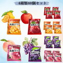雪国アグリ 4種のフルーツこんにゃくゼリー 各種10個 40個セット 800g 詰め合わせセット グレープ ピーチ アップル マンゴー 冷凍 凍らせて食べる