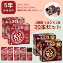 最安値挑戦 えいようかん チョコえいようかん 井村屋 非常食 防災準備 防災セット 長期保存 保存食 2種類 20本セット 送料無料 備蓄食 5年保存 栄養かん...