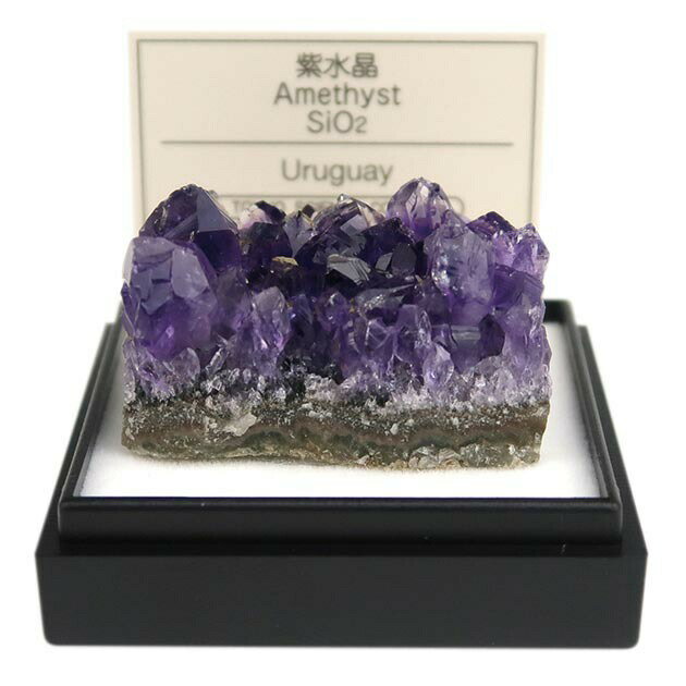 鉱物標本 紫水晶