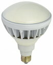 日動工業 LED交換球 L20W-JW110-50K