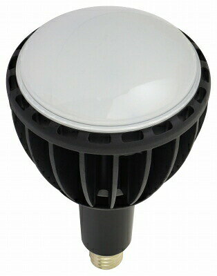 日動工業　LED交換球　L100W-E39J-WBK-50K